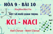 Một số muối quan trọng, tính chất hóa học của Natri Clorua NaCl, Kali Nitrat KNO3 - hóa 9 bài 10